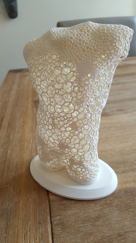 Male torso voronoi style 3D Print 216288 Male torso voronoi style 3D Print 216288
