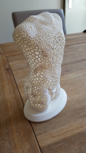 Male torso voronoi style 3D Print 216289 Male torso voronoi style 3D Print 216289