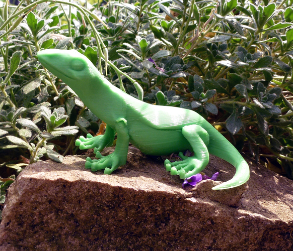 Little Lizard 3D Print 21788