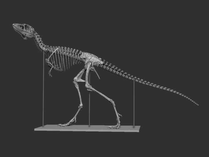 Life size baby T-rex skeleton - Part 03/10 3D Print 218208