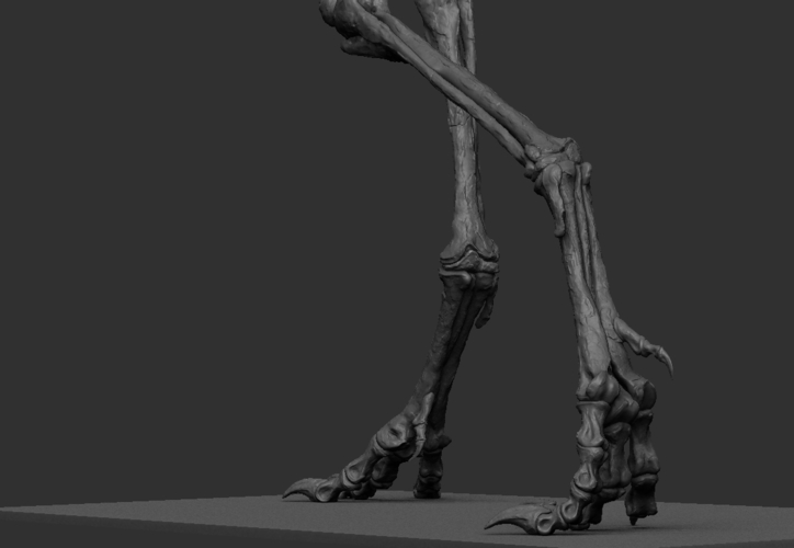 Life size baby T-rex skeleton - Part 03/10 3D Print 218212
