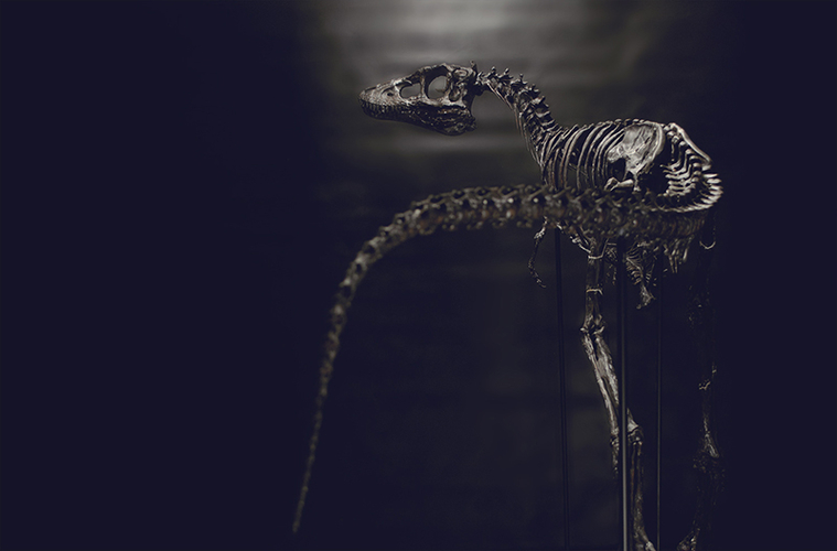 Life size baby T-rex skeleton - Part 03/10 3D Print 218431