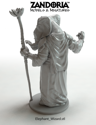 Elephant Wizard 3D Print 219770 Elephant Wizard 3D Print 219770