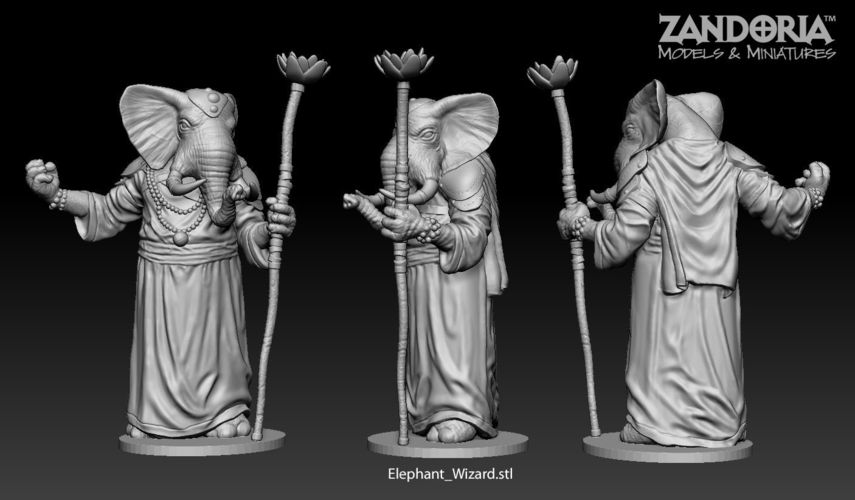 Elephant Wizard 3D Print 219771 Elephant Wizard 3D Print 219771