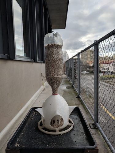 Bird feeder for PET Bottle, Bird House 2.0 3D Print 220850 Bird feeder for PET Bottle, Bird House 2.0 3D Print 220850