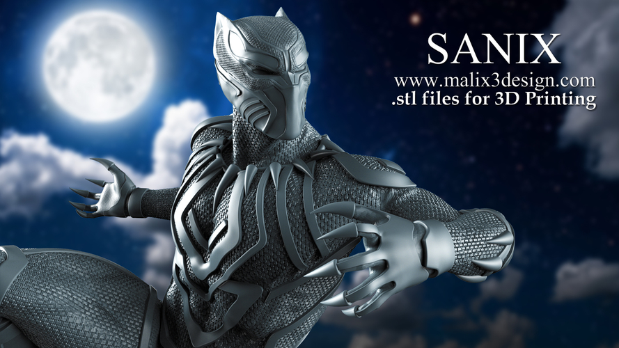 Black Panther 3D Print 221211 Black Panther 3D Print 221211