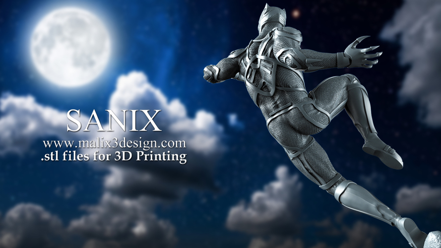 Black Panther 3D Print 221213 Black Panther 3D Print 221213