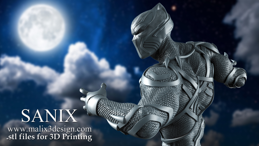 Black Panther 3D Print 221214 Black Panther 3D Print 221214