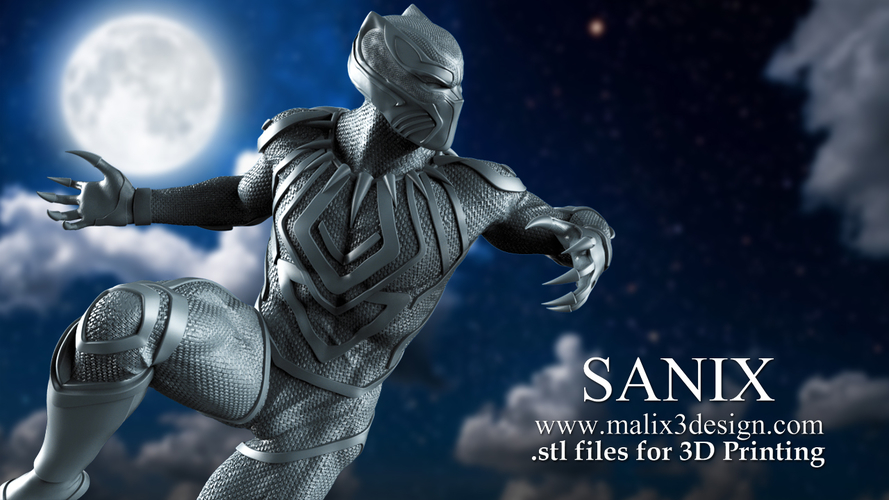 Black Panther 3D Print 221215 Black Panther 3D Print 221215