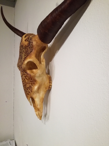 Life Size Bull Skull 3D Print 221275 Life Size Bull Skull 3D Print 221275
