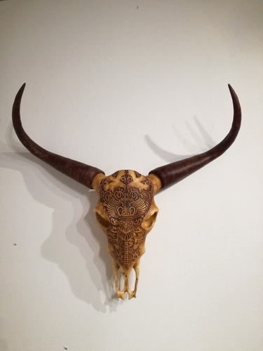 Life Size Bull Skull 3D Print 221276 Life Size Bull Skull 3D Print 221276