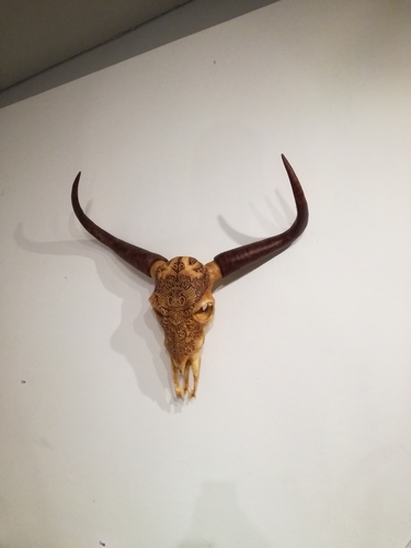 Life Size Bull Skull 3D Print 221277 Life Size Bull Skull 3D Print 221277