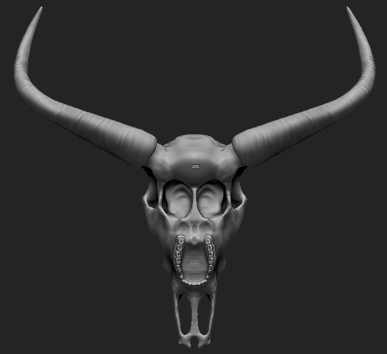 Life Size Bull Skull 3D Print 221289 Life Size Bull Skull 3D Print 221289