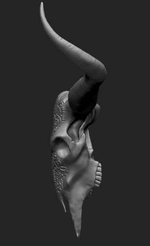 Life Size Bull Skull 3D Print 221290 Life Size Bull Skull 3D Print 221290