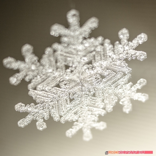 Real snowflake - Christmas Tree decoration - size: 65mm 3D Print 221343