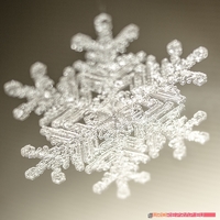 Small Real snowflake - Christmas Tree decoration - size: 65mm 3D Printing 221343