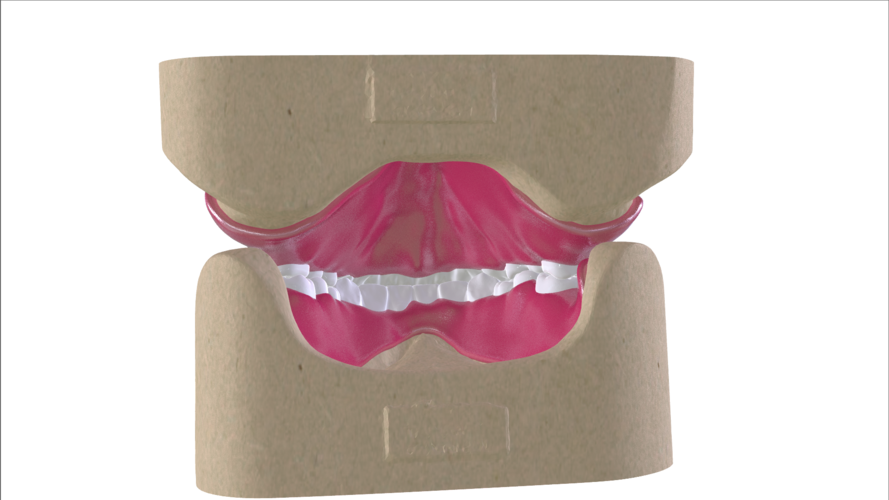 Digital Full Dentures with Combined Glue-in Teeth Arch 3D Print 221683 Digital Full Dentures with Combined Glue-in Teeth Arch 3D Print 221683