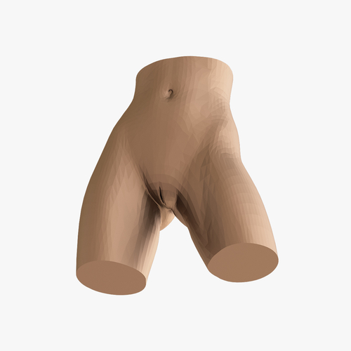 Women's waist 3D Print 223030 Women's waist 3D Print 223030