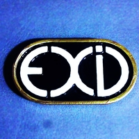 Small EXID buckle 3D Printing 223478