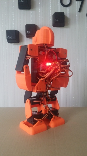 Robonoid – Head (Nova) 3D Print 223870 Robonoid – Head (Nova) 3D Print 223870