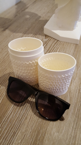Sunglasses case (with voronoi pattern) 3D Print 224951 Sunglasses case (with voronoi pattern) 3D Print 224951
