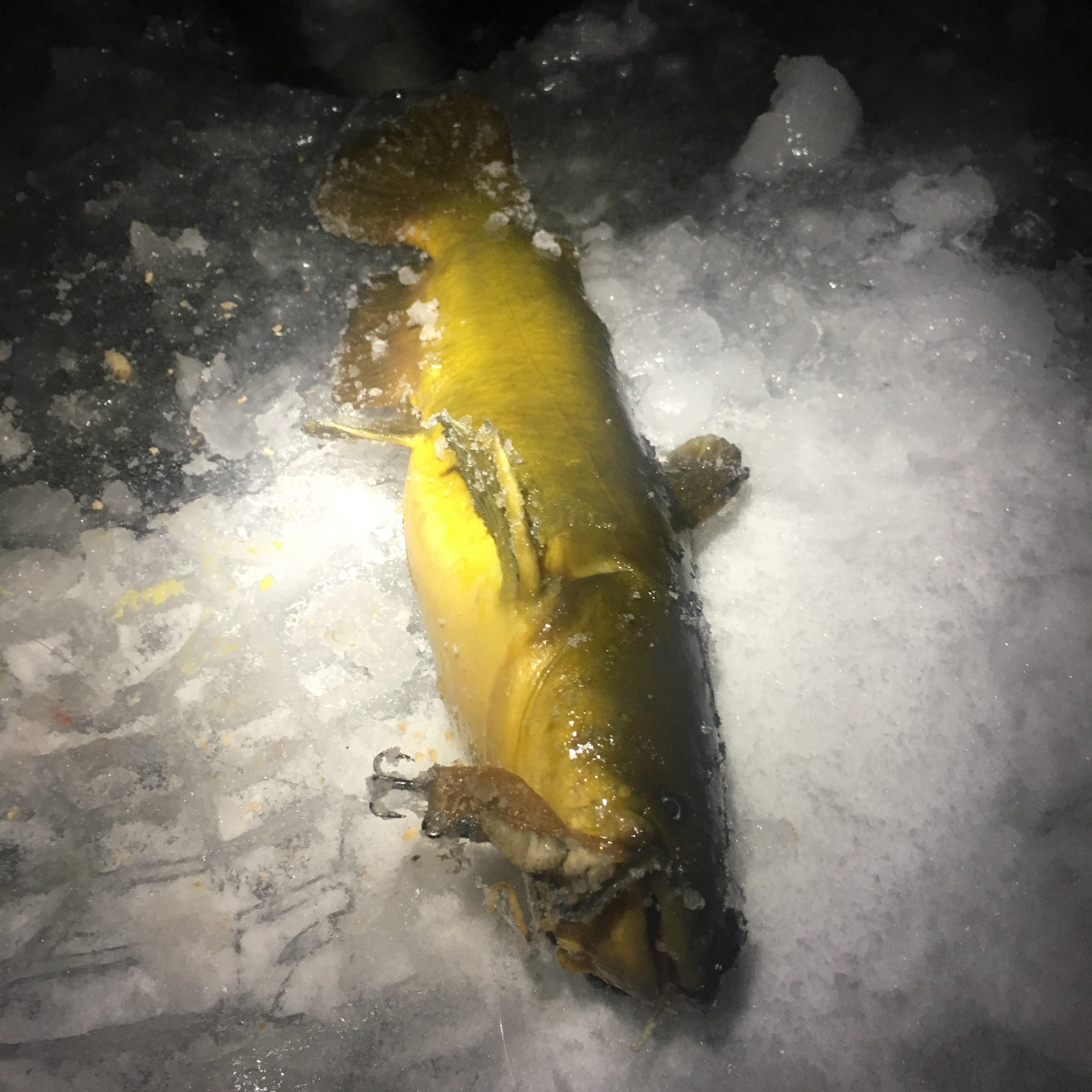 3D Printed ICE CRANK ICE FISHING JIGGING LURE by upscalelures
