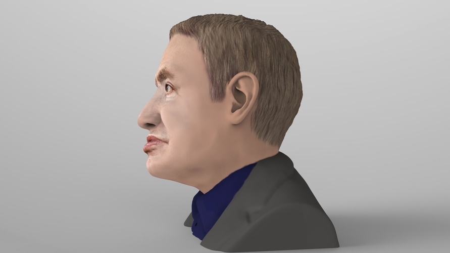 Stephen Hawking bust ready for full color 3D printing 3D Print 230638 Stephen Hawking bust ready for full color 3D printing 3D Print 230638
