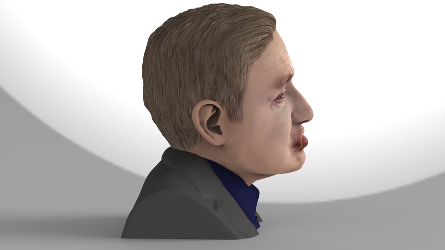 Stephen Hawking bust ready for full color 3D printing 3D Print 230639 Stephen Hawking bust ready for full color 3D printing 3D Print 230639