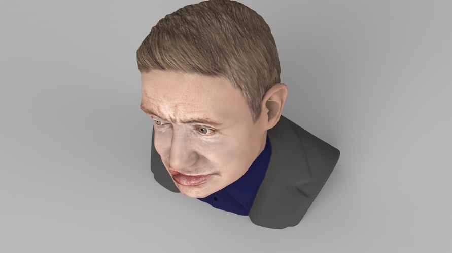 Stephen Hawking bust ready for full color 3D printing 3D Print 230640 Stephen Hawking bust ready for full color 3D printing 3D Print 230640