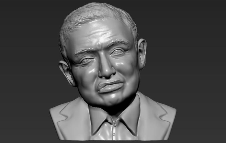 Stephen Hawking bust ready for full color 3D printing 3D Print 230646 Stephen Hawking bust ready for full color 3D printing 3D Print 230646