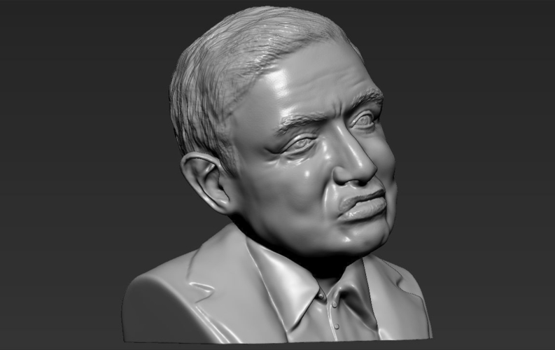 Stephen Hawking bust ready for full color 3D printing 3D Print 230654 Stephen Hawking bust ready for full color 3D printing 3D Print 230654