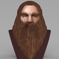 Small Gimli Lord of the Rings bust full color 3D printing ready 3D Printing 231077