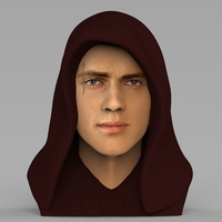 Small Anakin Skywalker Star Wars bust ready for full color 3D printing 3D Printing 231198
