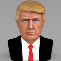 Small President Donald Trump bust ready for full color 3D printing 3D Printing 231413