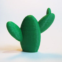Small Support Free Cactus 3D Printing 23182