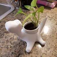 Small Dinosaur plant pot 3D Printing 235033
