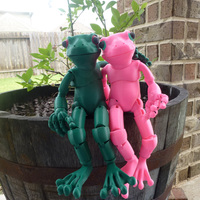 Small Froggy: the 3D printed ball-jointed frog doll 3D Printing 23697