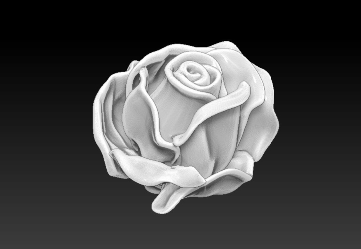 Rose flower 3D Print 238729