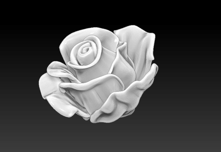 Rose flower 3D Print 238730