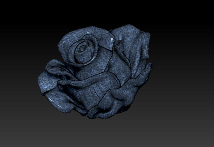 Rose flower 3D Print 238731
