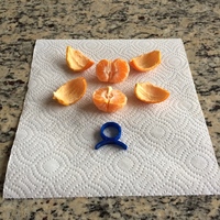 Small Orange Peeler 3D Printing 23876