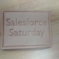 Small Salesforce Saturday leather stamps 3D Printing 239488