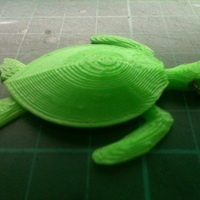 Small Sea Turtle Keychain 3D Printing 24186