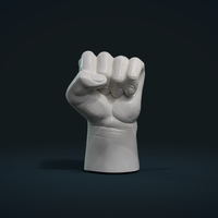Small Fist Hand  3D Printing 242233