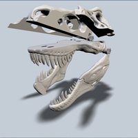 Small Exploded T-Rex Skull 3D Printing 24227