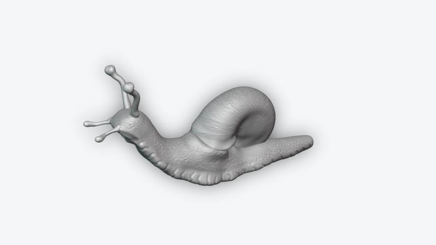 Snail 3D Print 243445 Snail 3D Print 243445