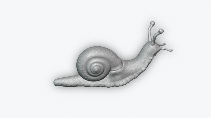 Snail 3D Print 243449 Snail 3D Print 243449