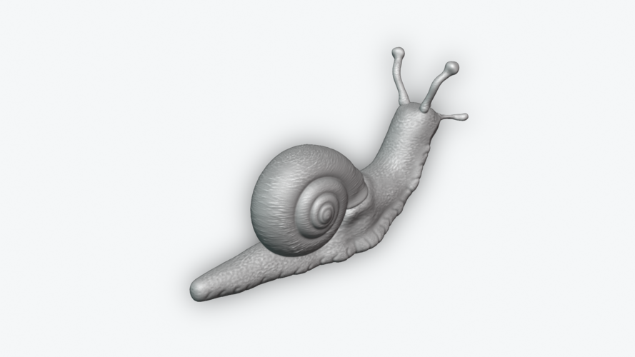 Snail 3D Print 243450 Snail 3D Print 243450