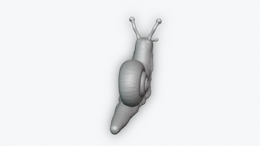 Snail 3D Print 243451 Snail 3D Print 243451