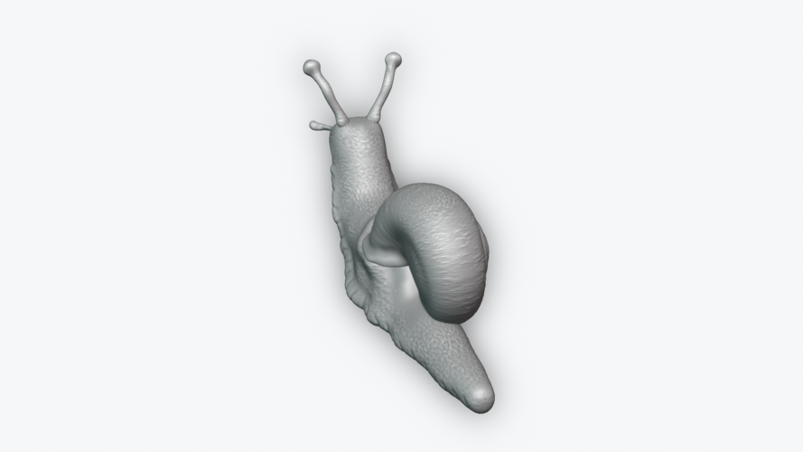 Snail 3D Print 243452 Snail 3D Print 243452